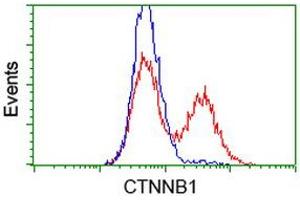 HEK293T cells transfected with either RC208947 overexpress plasmid (Red) or empty vector control plasmid (Blue) were immunostained by anti-CTNNB1 antibody (ABIN2454166), and then analyzed by flow cytometry. (CTNNB1 antibody)