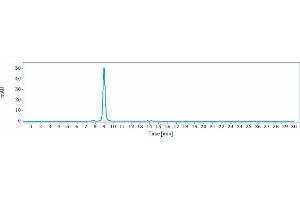 anti-MIF (Imalumab Biosimilar) antibody