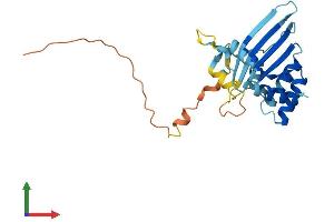 Protein Structure (PS) image for Apolipoprotein B mRNA Editing Enzyme, Catalytic Polypeptide-Like 2 (APOBEC2) (AA 1-224) protein (His tag) (ABIN7551920)