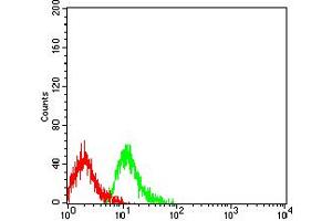Flow cytometric analysis of Jurkat cells using CD109 mouse mAb (green) and negative control (red). (CD109 antibody  (AA 1274-1421))