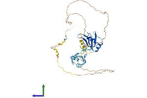 AlphaFold protein structure predicition of Human Recombinant HNRNPDL Protein, UniprotID O14979