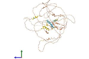 AlphaFold protein structure predicition of Mouse Recombinant Ccdc8 Protein, UniprotID D3YZV8 (CCDC8 Protein (AA 1-685) (His tag))
