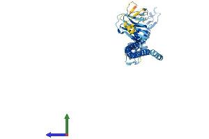 Protein Structure (PS) image for Tripartite Motif Containing 64 (TRIM64) (AA 1-449) protein (His tag) (ABIN7544773)