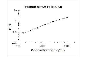 Arylsulfatase A (ARSA) ELISA Kit