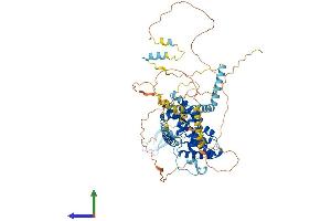 AlphaFold protein structure predicition of Mouse Recombinant Brf1 Protein, UniprotID Q8CFK2