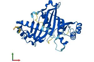 AlphaFold protein structure predicition of Mouse Recombinant Gclm Protein, UniprotID O09172