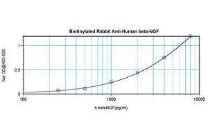 Image no. 1 for anti-Nerve Growth Factor (NGF) antibody (Biotin) (ABIN465708)