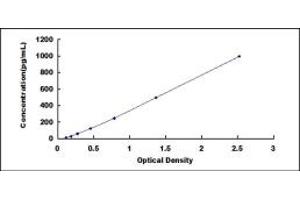 Typical standard curve (ADAM28 ELISA Kit)