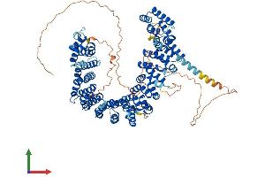 AlphaFold protein structure predicition of Mouse Recombinant Ppp4r4 Protein, UniprotID Q8C0Y0 (PPP4R4 Protein (AA 1-875) (His tag))
