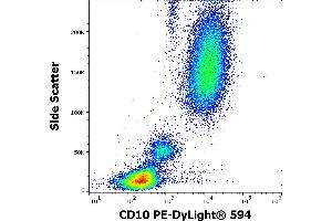 Flow cytometry surface staining pattern of human peripheral whole blood stained using anti-human CD10 (MEM-78) PE-DyLight® 594 antibody (4 μL reagent / 100 μL of peripheral whole blood). (MME antibody  (PE-DyLight 594))