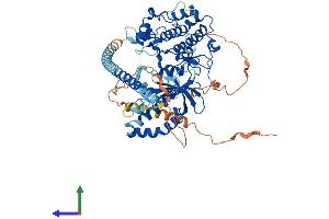 Protein Structure (PS) image for Dystrophia Myotonica-Protein Kinase (DMPK) (AA 1-629) protein (His tag) (ABIN7553725)