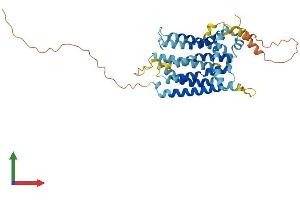 Protein Structure (PS) image for Transmembrane Protein 184B (TMEM184B) (AA 1-407) protein (His tag) (ABIN7544183)