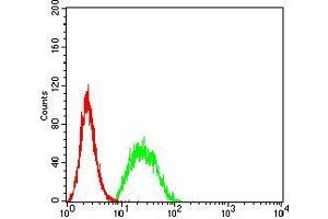 Flow cytometric analysis of Hela cells using UFD1L mouse mAb (green) and negative control (red).