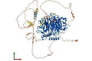 AlphaFold protein structure predicition of Human Recombinant GTF3C2 Protein, UniprotID Q8WUA4