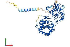 Protein Structure (PS) image for Fucosyltransferase 6 (Alpha (1,3) Fucosyltransferase) (FUT6) (AA 1-359) protein (His tag) (ABIN7547786)