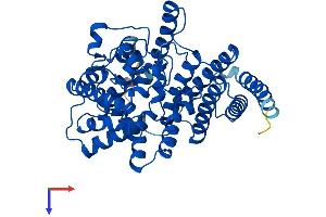 Transmembrane Protein 195 (TMEM195) (AA 1-445) protein (His tag)
