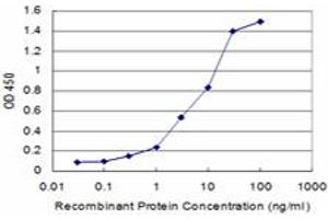 Detection limit for recombinant GST tagged KHSRP is approximately 0. (KHSRP antibody  (AA 151-239))