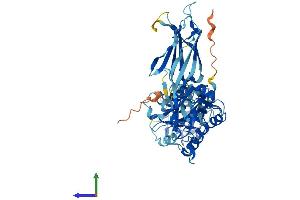 AlphaFold protein structure predicition of Human Recombinant CPNE6 Protein, UniprotID O95741 (CPNE6 Protein (AA 1-557) (His tag))