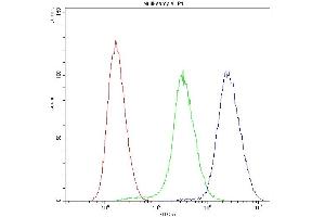 Flow Cytometry analysis of U251 cells using anti-PNP antibody (ABIN4886701). (PNP antibody  (Middle Region))