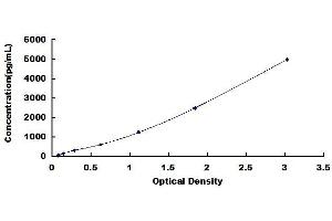 S100A16 ELISA Kit