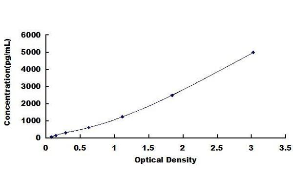 S100A16 ELISA Kit