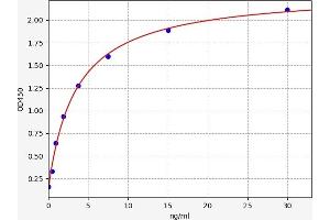 Typical standard curve (2,5-Oligoadenylate Synthetase(2,5-OAS) ELISA Kit)