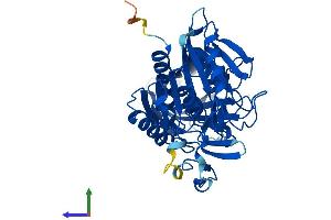 AlphaFold protein structure predicition of Human Recombinant BAAT Protein, UniprotID Q14032 (BAAT Protein (AA 1-418) (His tag))