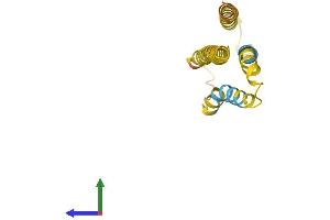 AlphaFold protein structure predicition of Human Recombinant XKRY Protein, UniprotID O14609 (XKRY Protein (AA 1-159) (His tag))