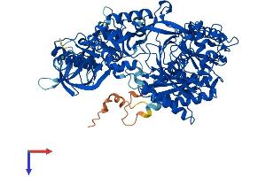 AGO2 Protein (AA 1-859) (His tag)