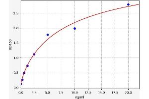 PIM2 ELISA Kit