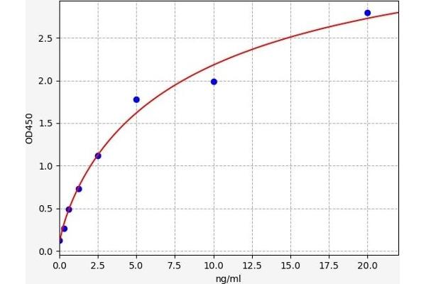 PIM2 ELISA Kit