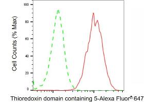 Flow cytometric analysis of Thioredoxin domain containing 5 expression in HT- cells using Thioredoxin domain containing 5 antibody ( (ABIN7800542), 1:2,000). (TXNDC5 antibody)