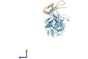 Protein Structure (PS) image for Zinc Finger Protein 17 (ZNF17) (AA 1-662) protein (His tag) (ABIN7545507)