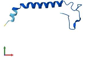 Protein Structure (PS) image for NADH Dehydrogenase (Ubiquinone) 1 beta Subcomplex, 1, 7kDa (NDUFB1) (AA 1-58) protein (Fc Tag) (ABIN7549752)