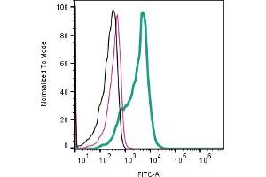 Cell surface detection of CD9 by indirect flow cytometry in  derived exosomes:Exosomes only. (CD9 antibody  (Extracellular))