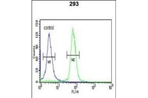 STK40 Antibody ( C-term ) (ABIN652973 and ABIN2842617) flow cytometric analysis of 293 cells (right histogram) compared to a negative control cell (left histogram). (STK40 antibody  (C-Term))