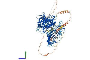 Protein Structure (PS) image for Polo-Like Kinase 2 (PLK2) (AA 1-682) protein (His tag) (ABIN7563429)