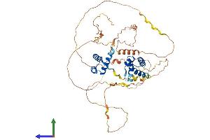 AlphaFold protein structure predicition of Mouse Recombinant Pou3f3 Protein, UniprotID P31361 (POU3F3 Protein (AA 1-497) (His tag))
