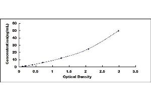 Typical standard curve (KPNB1 ELISA Kit)