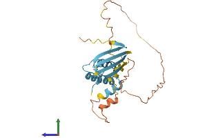 AlphaFold protein structure predicition of Mouse Recombinant Dnajb3 Protein, UniprotID O35723