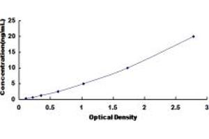 Typical standard curve (MATR3 ELISA Kit)