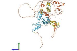 AlphaFold protein structure predicition of Human Recombinant ZNF641 Protein, UniprotID Q96N77