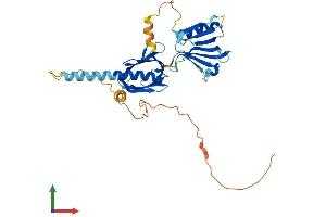 AlphaFold protein structure predicition of Human Recombinant DOK6 Protein, UniprotID Q6PKX4 (DOK6 Protein (AA 1-331) (His tag))