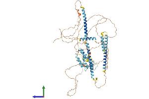 AlphaFold protein structure predicition of Human Recombinant PBXIP1 Protein, UniprotID Q96AQ6