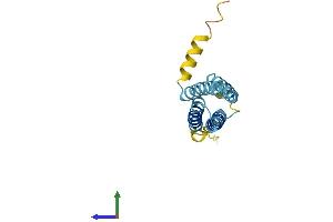 AlphaFold protein structure predicition of Human Recombinant PLP2 Protein, UniprotID Q04941 (PLP2 Protein (AA 1-152) (His tag))