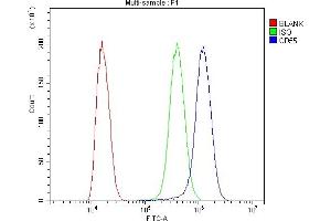 Flow Cytometry analysis of SiHa cells using anti-CD55 antibody (ABIN3043393). (CD55 antibody  (AA 35-347))