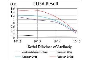 Black line: Control Antigen (100 ng), Purple line: Antigen(10 ng), Blue line: Antigen (50 ng), Red line: Antigen (100 ng), (EIF5A antibody  (AA 1-154))