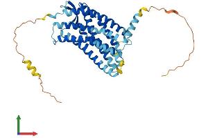 AlphaFold protein structure predicition of Mouse Recombinant Cxcr3 Protein, UniprotID O88410 (CXCR3 Protein (AA 1-367) (His tag))