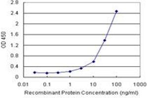 Sandwich ELISA detection sensitivity ranging from 1 ng/mL to 100 ng/mL.