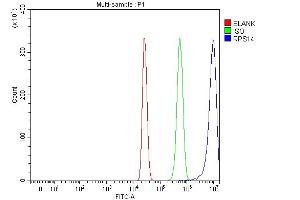 Flow Cytometry analysis of HepG2 cells using anti-RPS14 antibody (ABIN7599005).